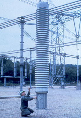 1980 ���. ��������� ����� �������� 600 �� ��� ����� �������������� ����������� ����